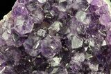 Purple Amethyst Cluster - Uruguay #66722-1